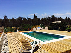 Proyecto Algarrobo